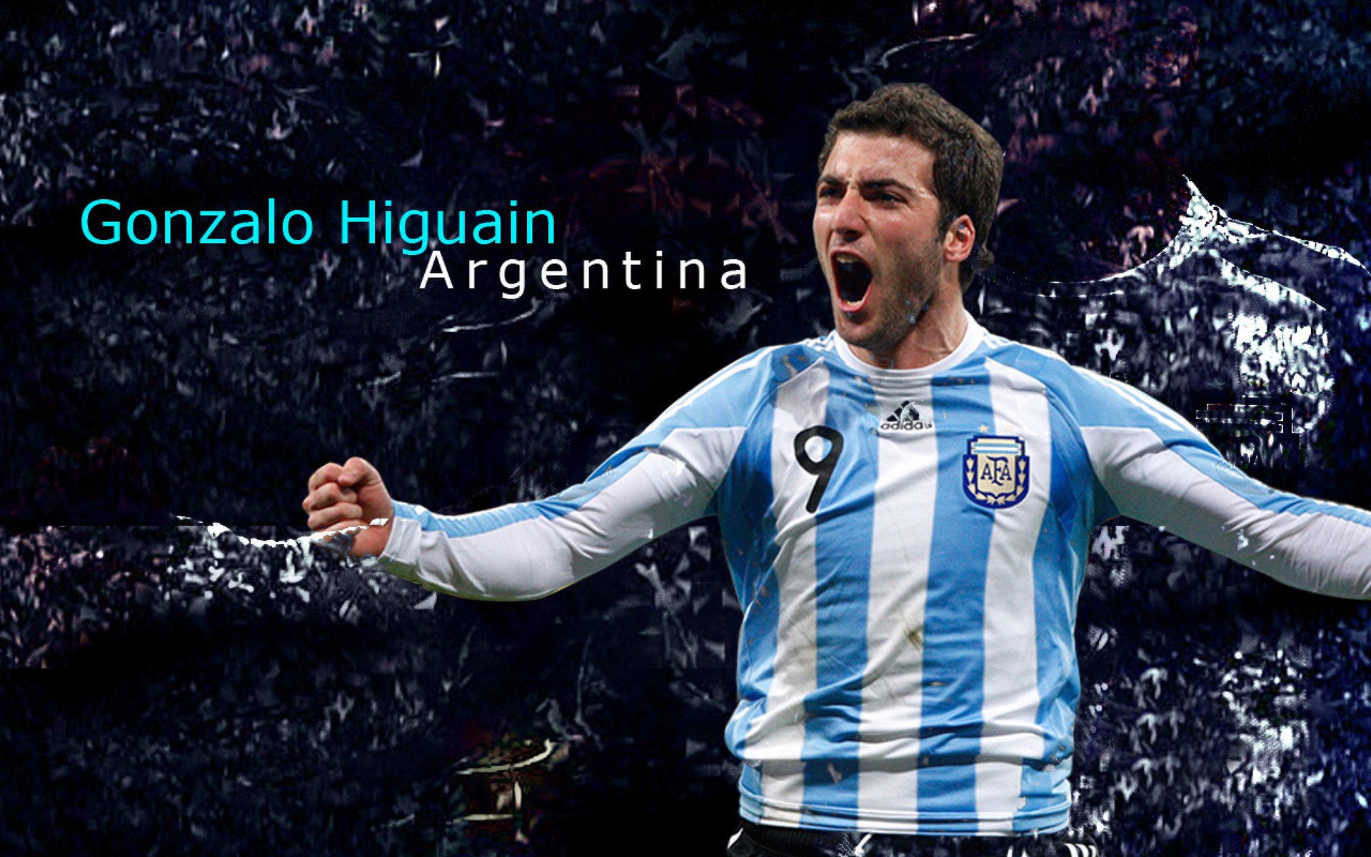 开云在线直播-史上最亮眼“冠军夜”：拼搏与荣耀的精彩瞬间，冠军hqmg